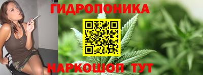 СК Севастополь